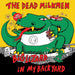 Big Lizard in My Backyard (40th Anniversary Edition)