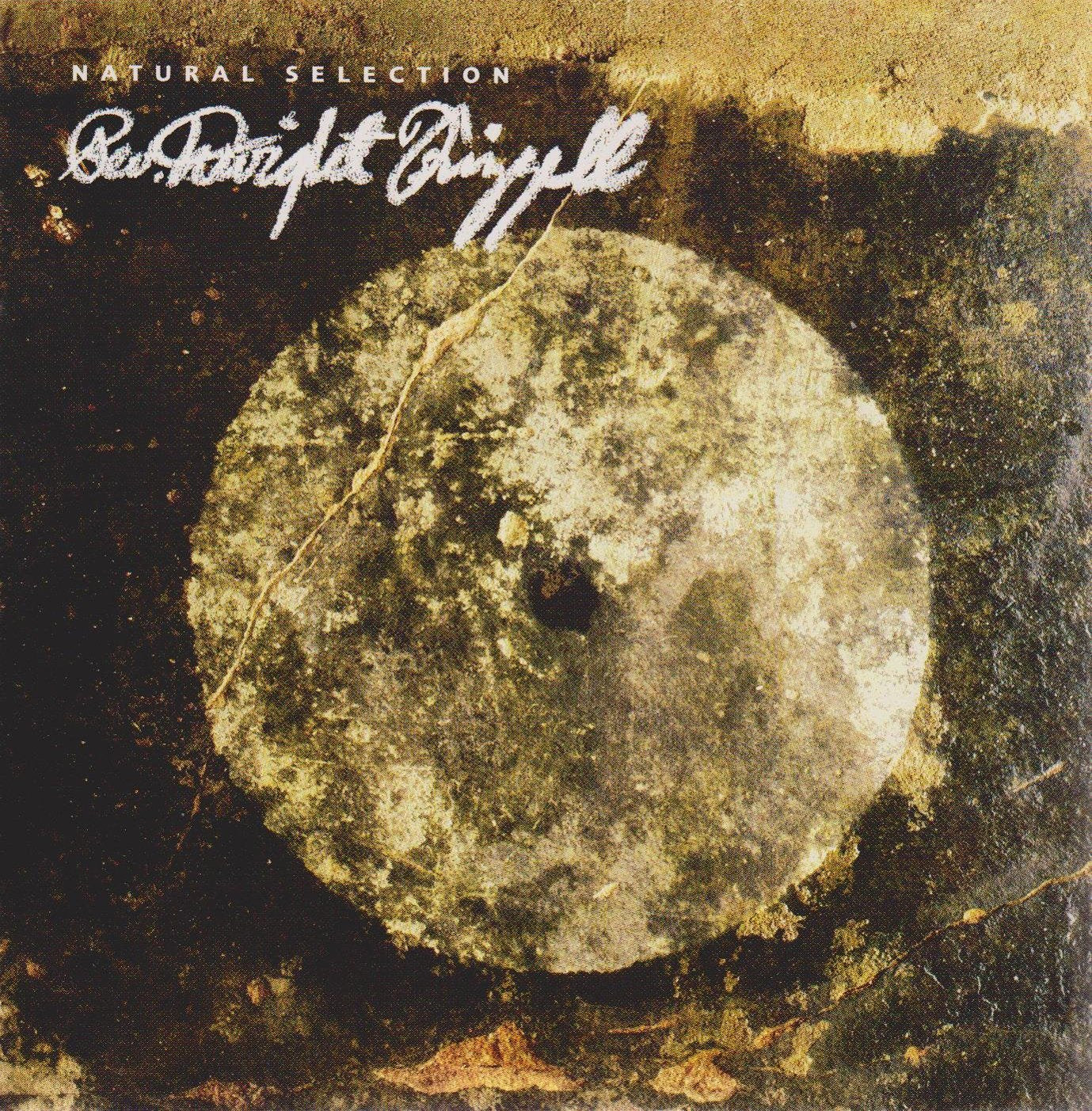 Rev. Dwight Frizzell - Natural Selection (Cd)