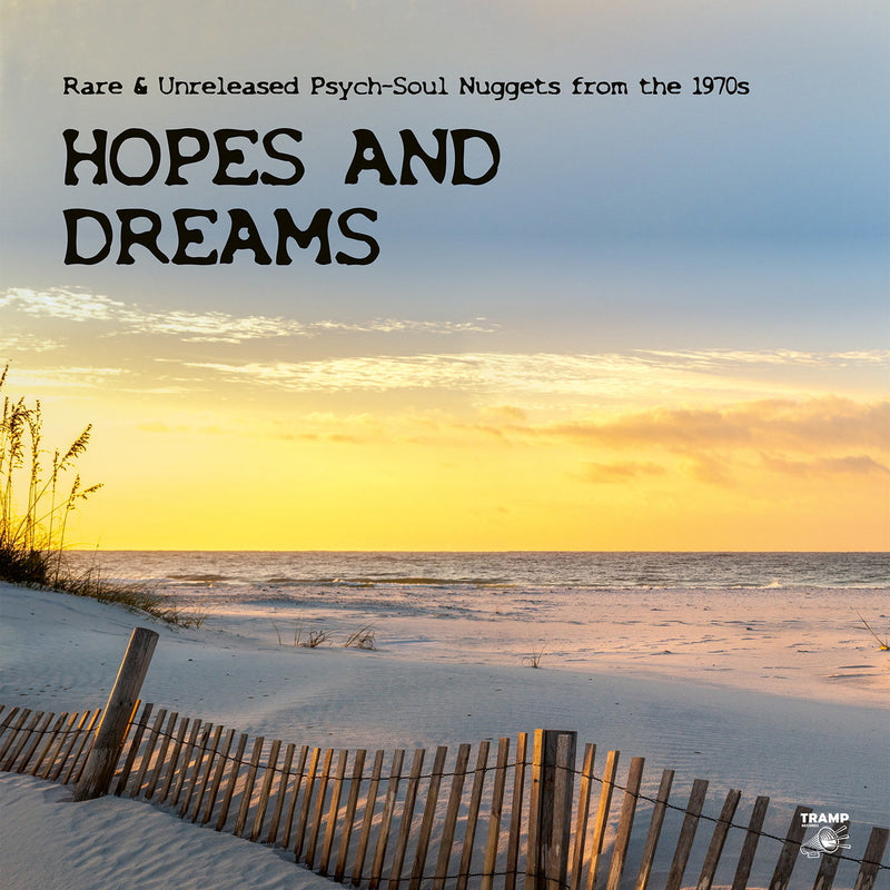 Hopes and Dreams: Rare & Unreleased Psych-soul Nuggets from the 1970s