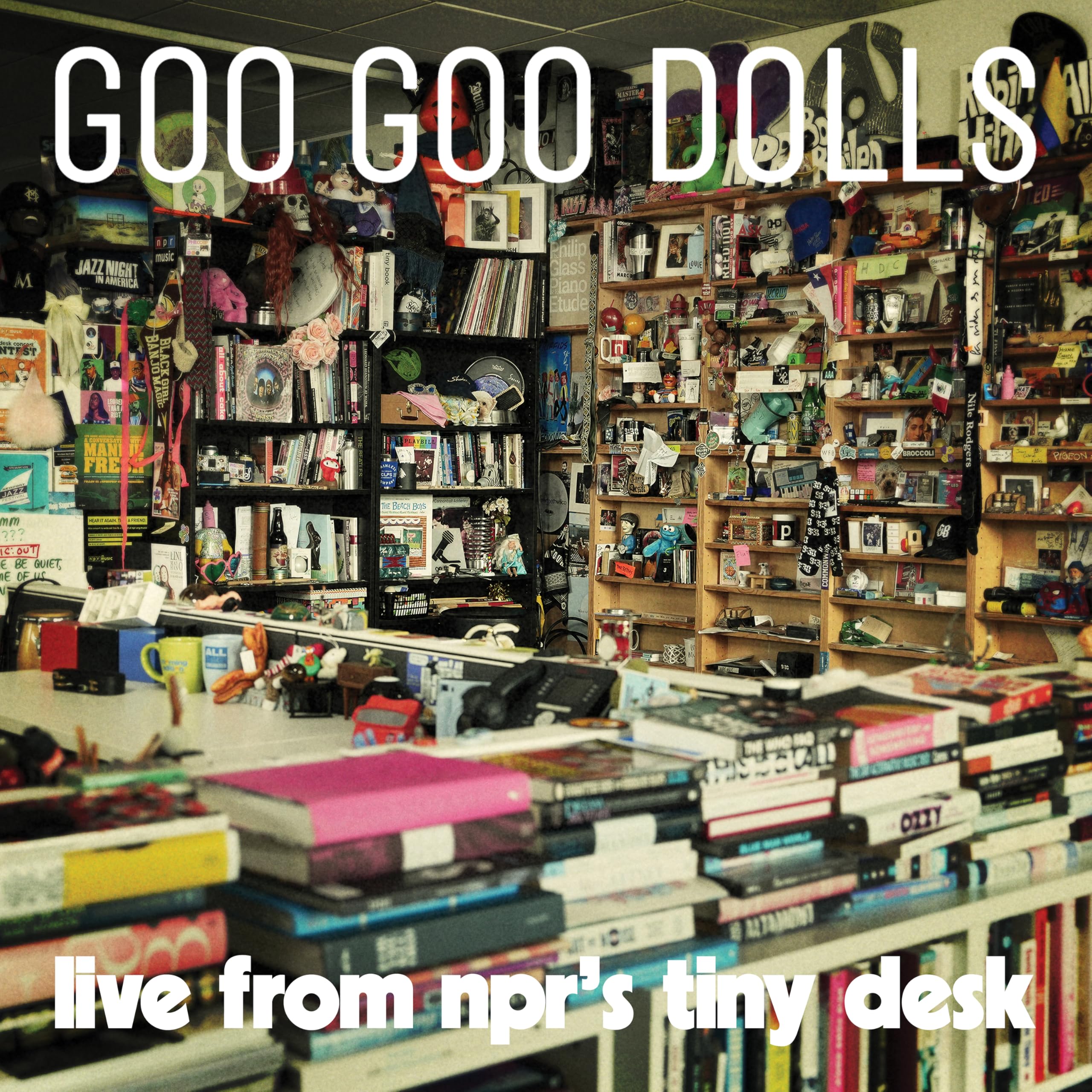 Live From NPR's Tiny Desk Orchid