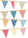 Slinger Anniversary - Large - LE