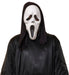 RUBIES Adult Scary Ghost Mask - Complete Your Costume, Official Rubies for Halloween, Carnival, Birthday and Parties