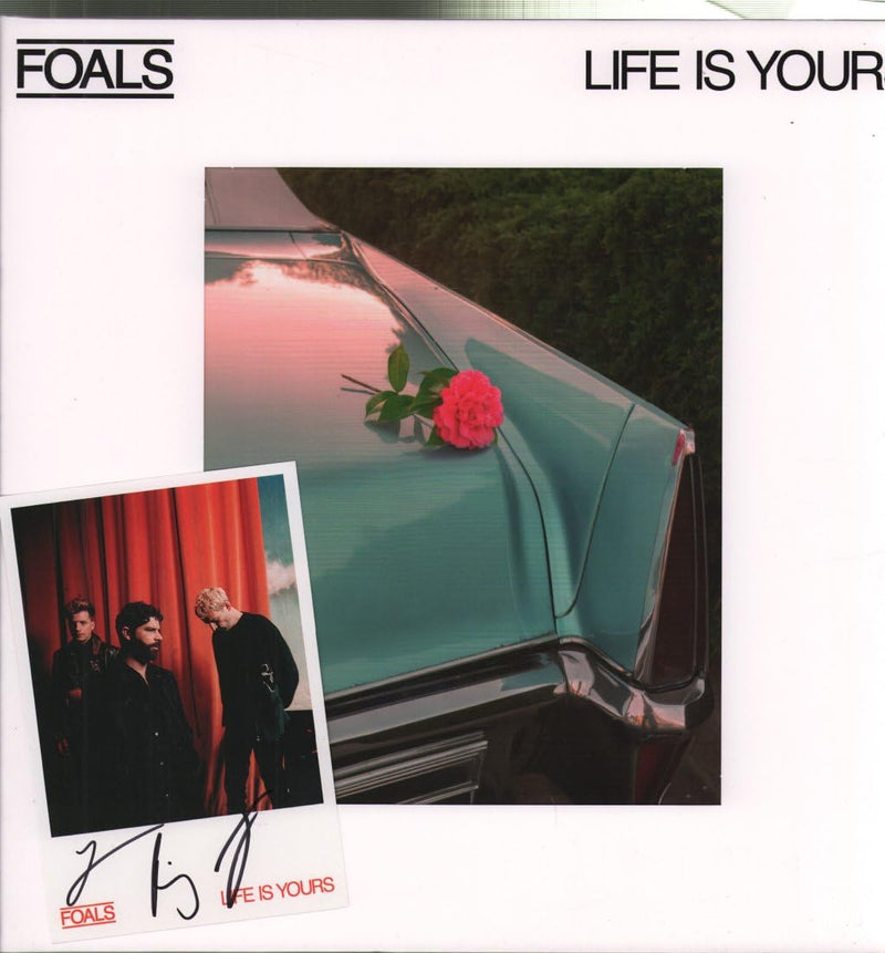 Life Is Yours