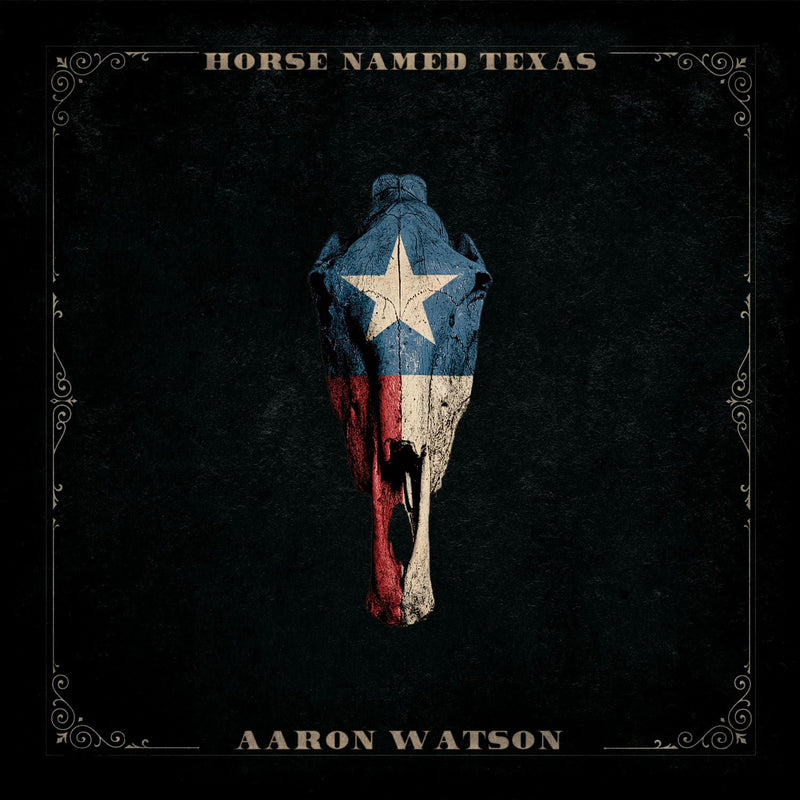 Horse Named Texas