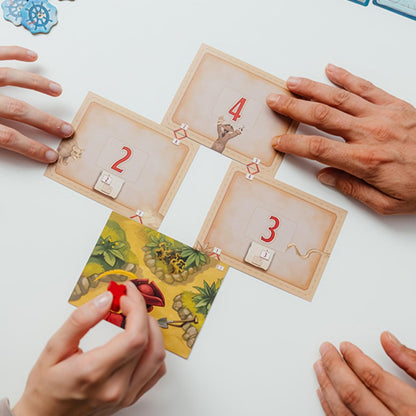 Lost in Adventure: The Curse of Jack Parrot by DV Games | Ages 12+ | 1-6 Players | Cooperative Pirate Storytelling Board Game | Branching Narrative, Modular Map, Puzzles & Multiple Endings