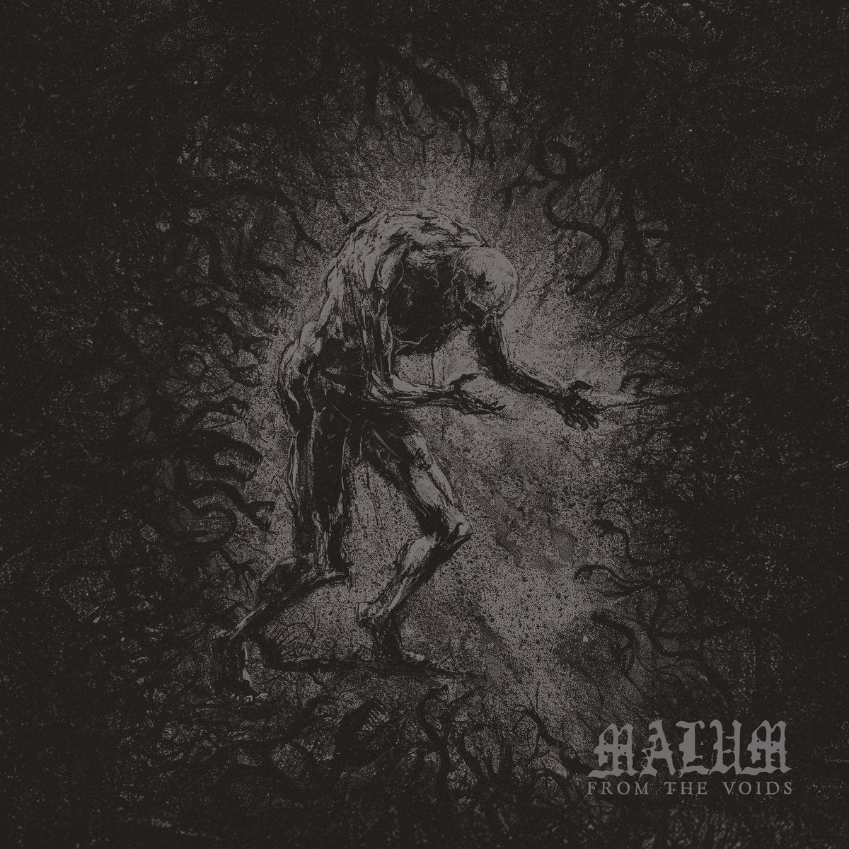 From the Voids