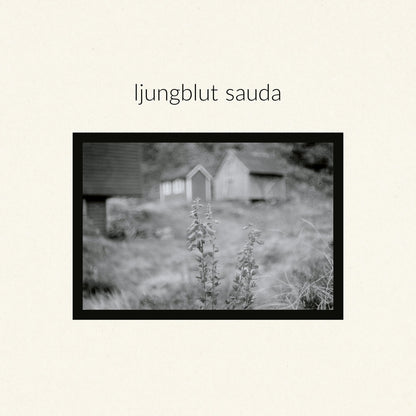 Sauda/Vietnam
