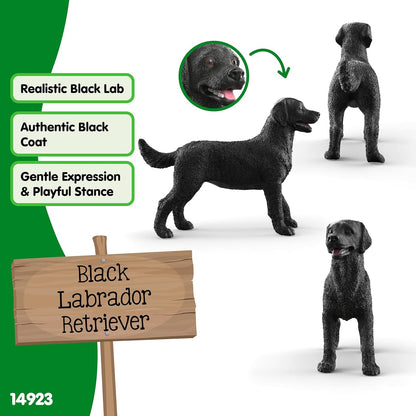 Schleich - Black Labrador Retriever Female (14923)