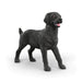 Schleich - Black Labrador Retriever Female (14923)