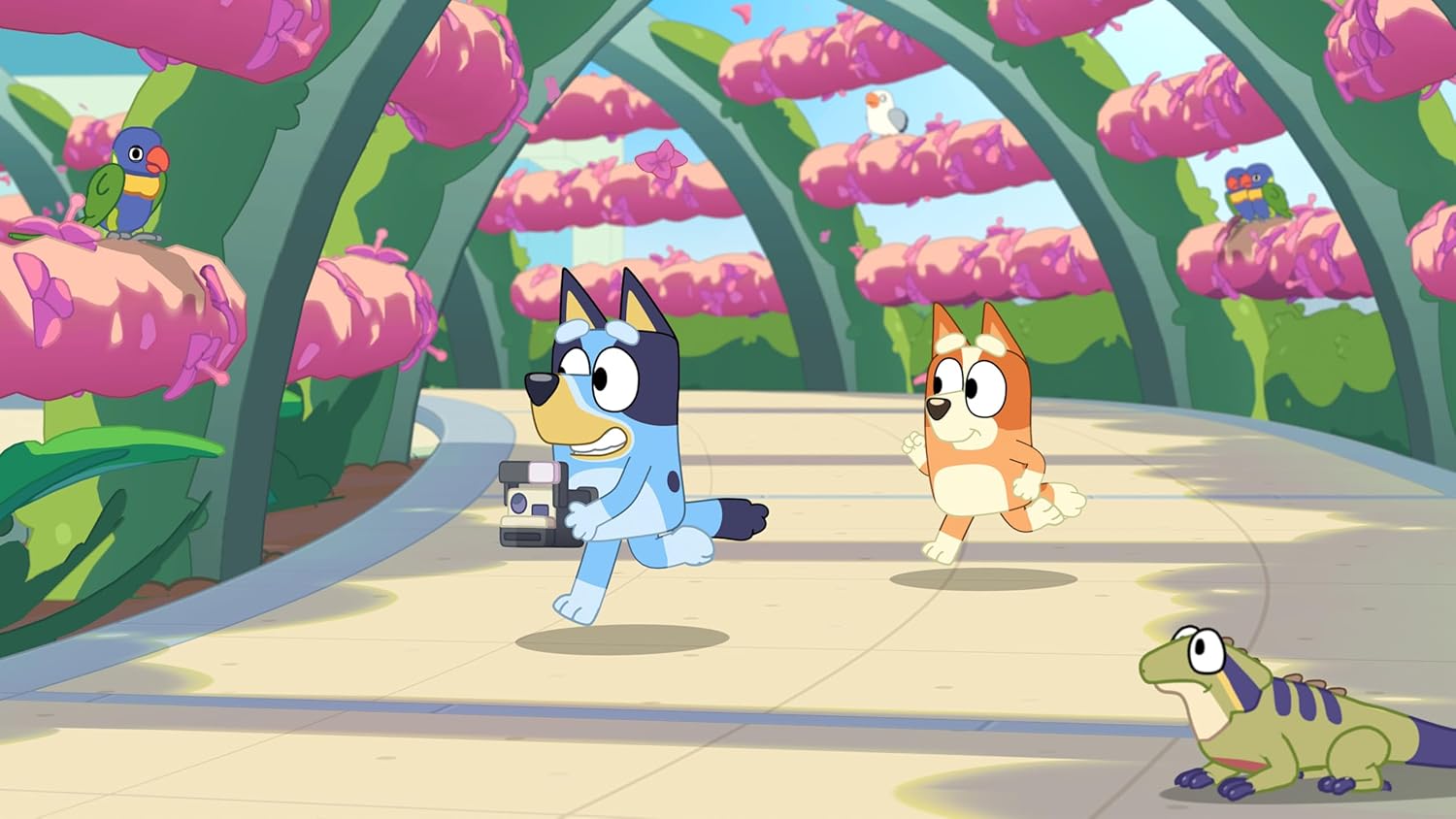 Bluey's Happy Snaps: Deluxe Edition (PlayStation 5)