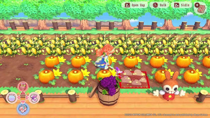 Pretty Princess Magical Garden Island (Nintendo Switch)
