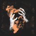 Headshrinker
