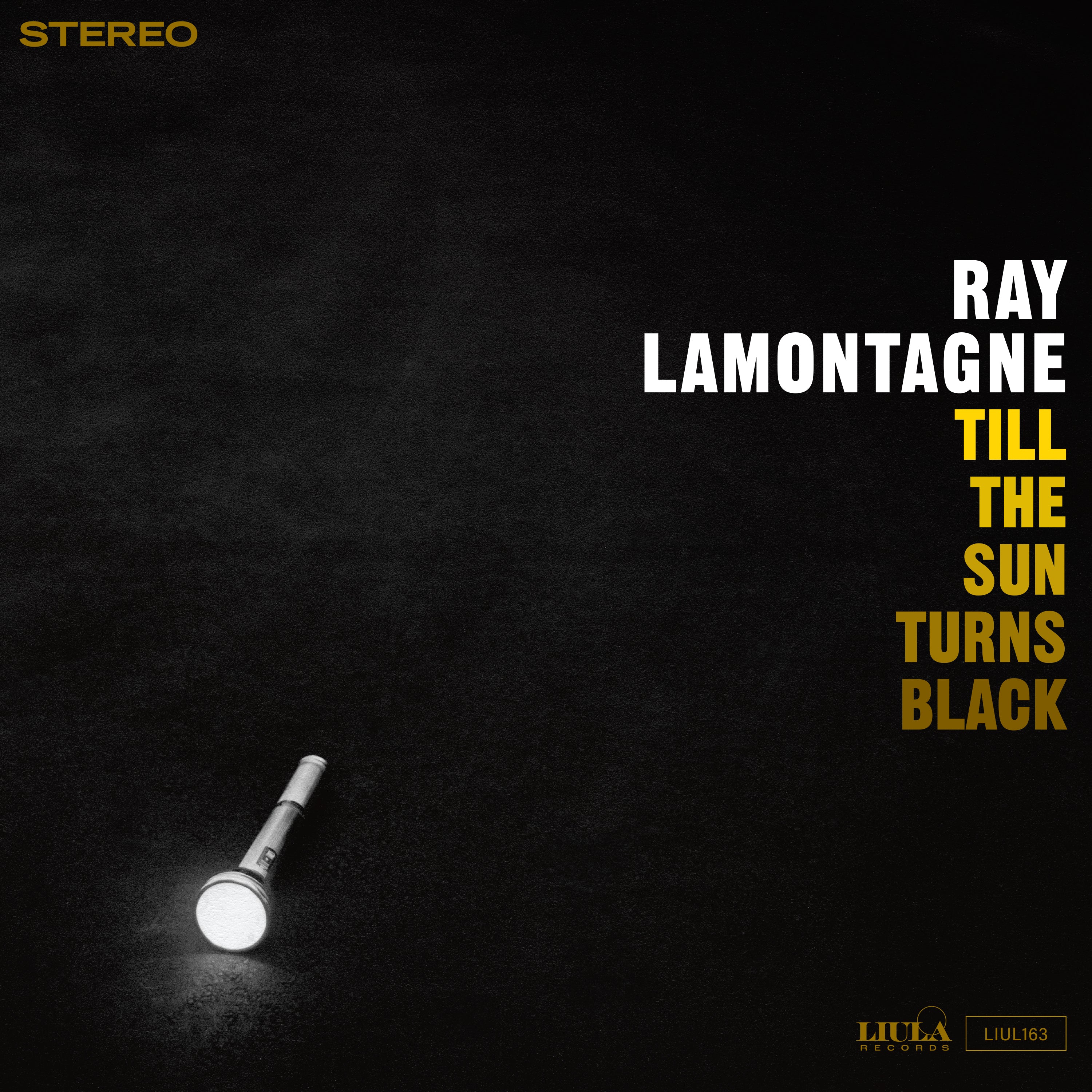 Till the Sun Turns Black