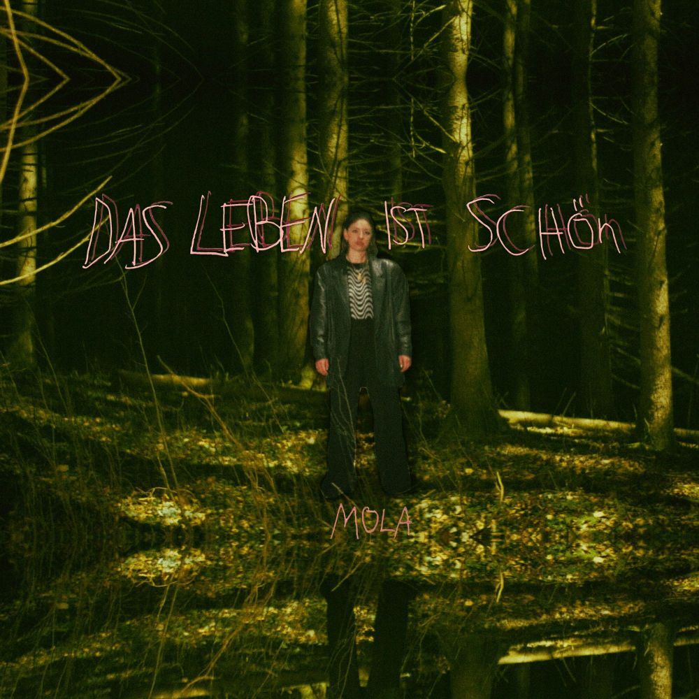 Das Leben Ist Schön