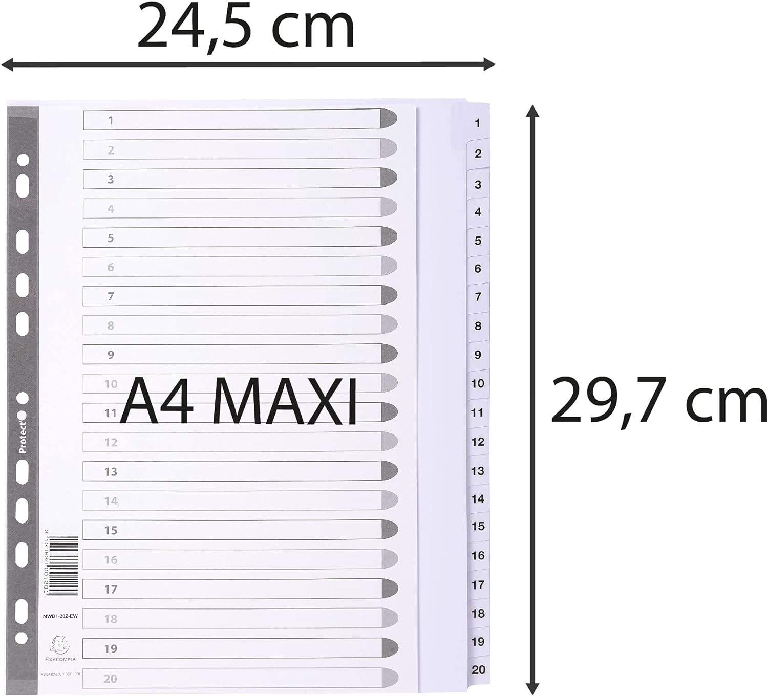Exacompta - Ref MWD1-20Z-EW - Mylar Printed Indices - For Use With A4+ Documents, Pre-Punched, 160gsm White Card with Reinforced Plastic Tabs, FSC-Certified - 20-Part Dividers (1-20