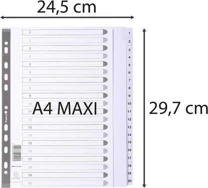 Exacompta - Ref MWD1-20Z-EW - Mylar Printed Indices - For Use With A4+ Documents, Pre-Punched, 160gsm White Card with Reinforced Plastic Tabs, FSC-Certified - 20-Part Dividers (1-20