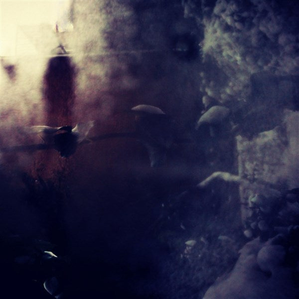Whispers Of Danger