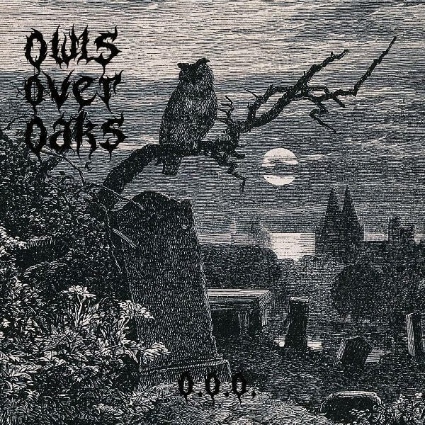 Owls Over Oaks
