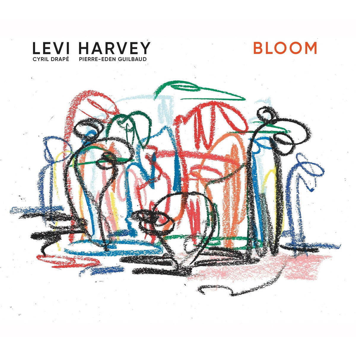 Bloom