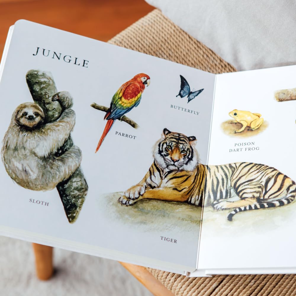 Our Big Book of Animals: First 100 Animal Words for Language Development, including Farm, Jungle, Pets, Bugs, and More (Our Little Adventures Series