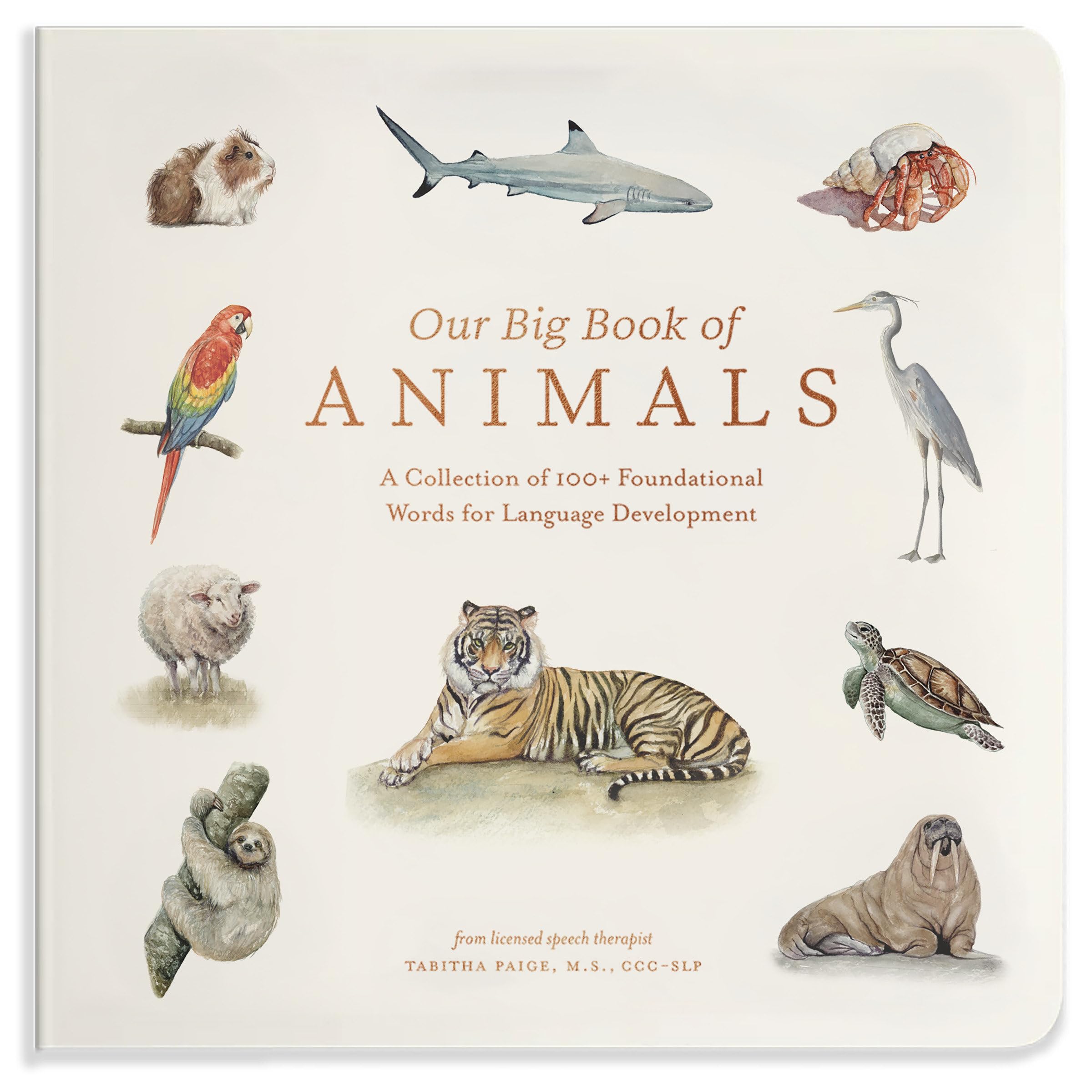 Our Big Book of Animals: First 100 Animal Words for Language Development, including Farm, Jungle, Pets, Bugs, and More (Our Little Adventures Series