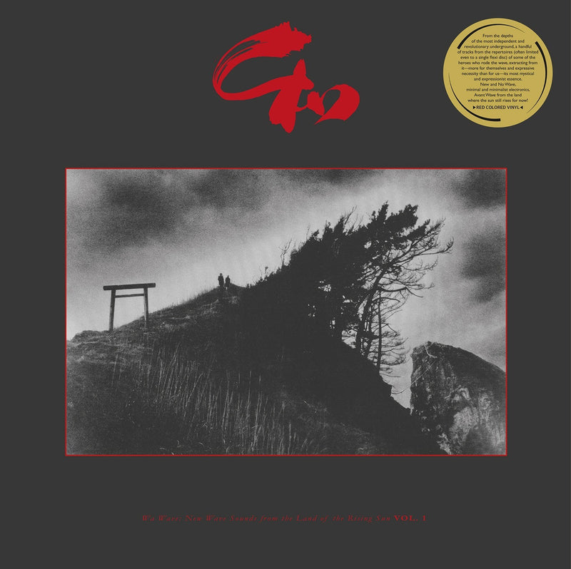 Wa Wave: New Wave Sounds From The Land Of The Rising Sun 1