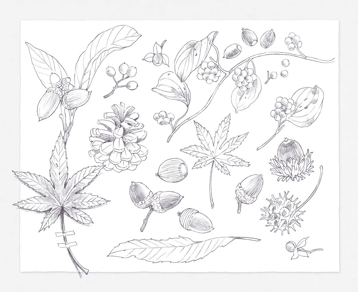 (ダウンロード特典付)野ねずみ ユルリの旅スケッチ ときめく塗り絵シリーズ(TOKIMEKU Coloring Book Series