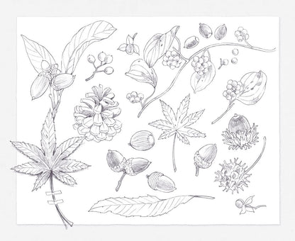(ダウンロード特典付)野ねずみ ユルリの旅スケッチ ときめく塗り絵シリーズ(TOKIMEKU Coloring Book Series