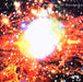 Belong To The Galaxy