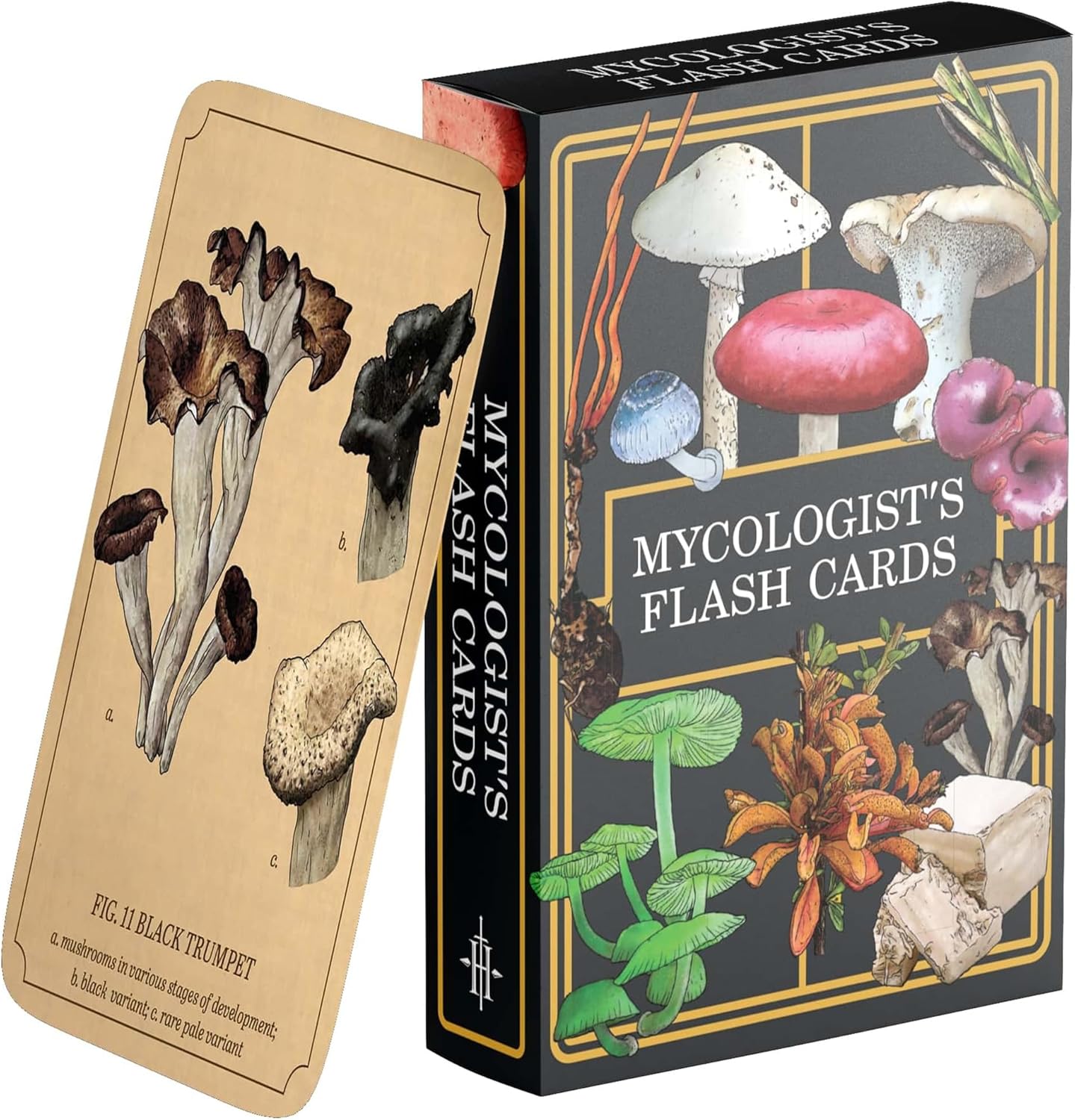 Renegade Games: Mycologist’s Primer Flash Cards - 100 Card Deck of Flash Cards, Items in Mycologist’s Primer, A System Agnostic for Any RPG System