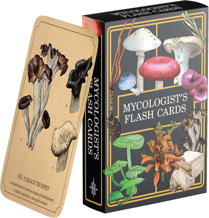 Renegade Games: Mycologist’s Primer Flash Cards - 100 Card Deck of Flash Cards, Items in Mycologist’s Primer, A System Agnostic for Any RPG System
