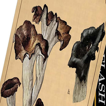 Renegade Games: Mycologist’s Primer Flash Cards - 100 Card Deck of Flash Cards, Items in Mycologist’s Primer, A System Agnostic for Any RPG System