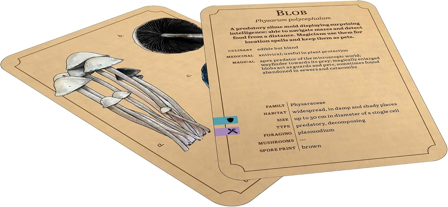 Renegade Games: Mycologist’s Primer Flash Cards - 100 Card Deck of Flash Cards, Items in Mycologist’s Primer, A System Agnostic for Any RPG System