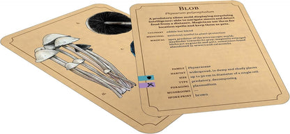 Renegade Games: Mycologist’s Primer Flash Cards - 100 Card Deck of Flash Cards, Items in Mycologist’s Primer, A System Agnostic for Any RPG System