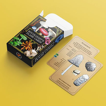 Renegade Games: Mycologist’s Primer Flash Cards - 100 Card Deck of Flash Cards, Items in Mycologist’s Primer, A System Agnostic for Any RPG System