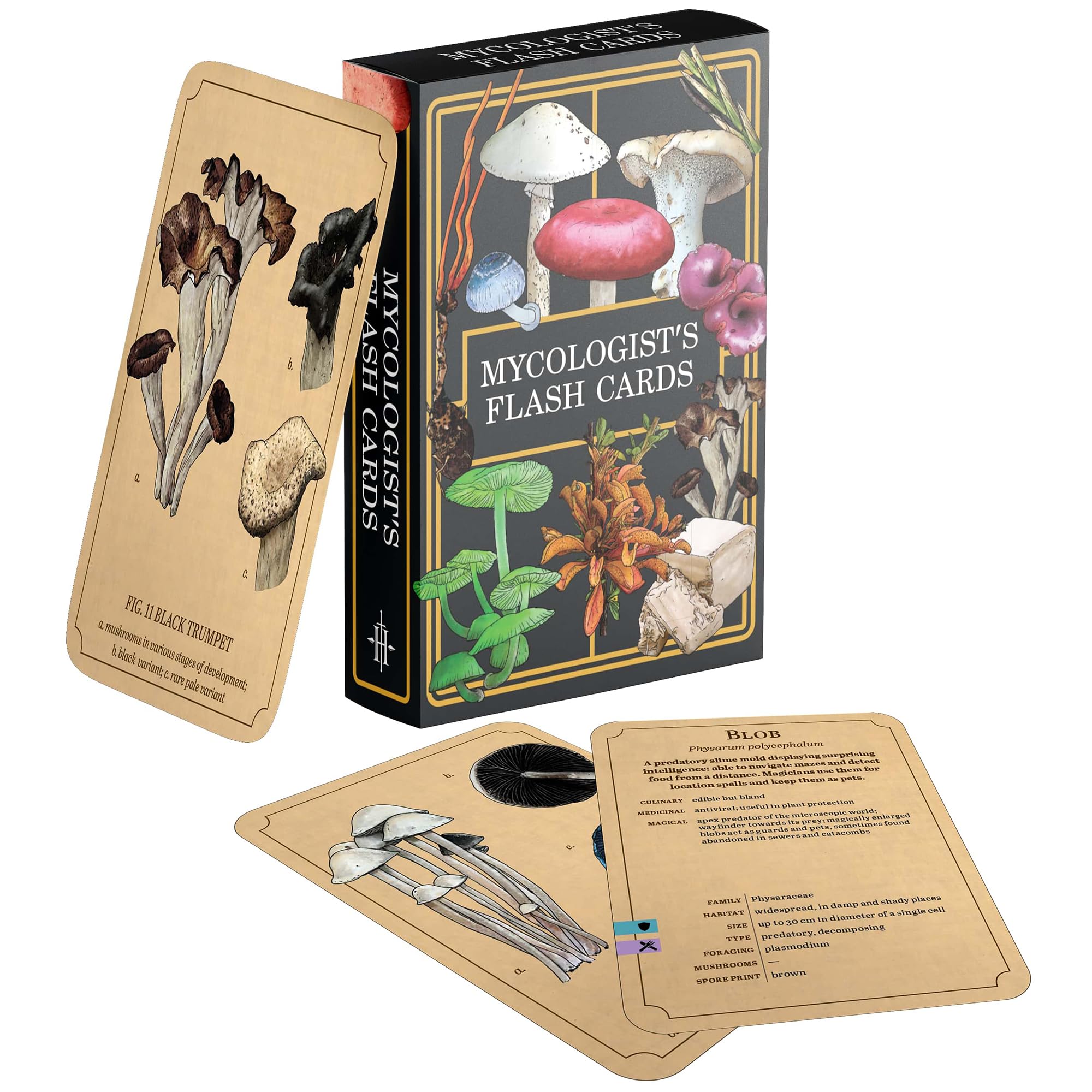 Renegade Games: Mycologist’s Primer Flash Cards - 100 Card Deck of Flash Cards, Items in Mycologist’s Primer, A System Agnostic for Any RPG System
