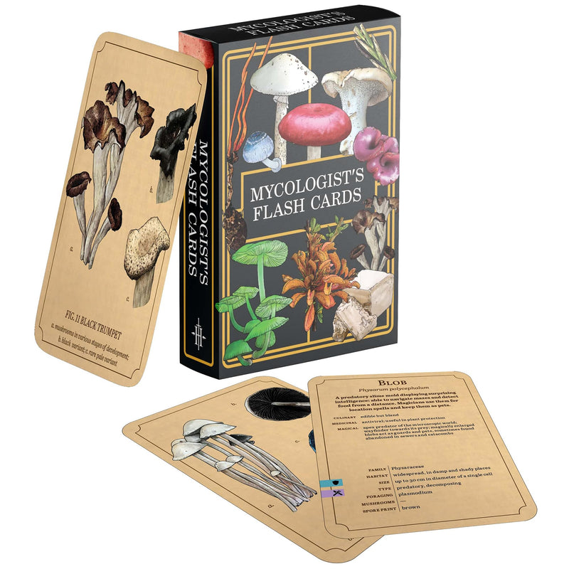 Renegade Games: Mycologist’s Primer Flash Cards - 100 Card Deck of Flash Cards, Items in Mycologist’s Primer, A System Agnostic for Any RPG System