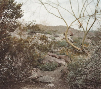 Lizz Wright - Dreaming Wide Awake