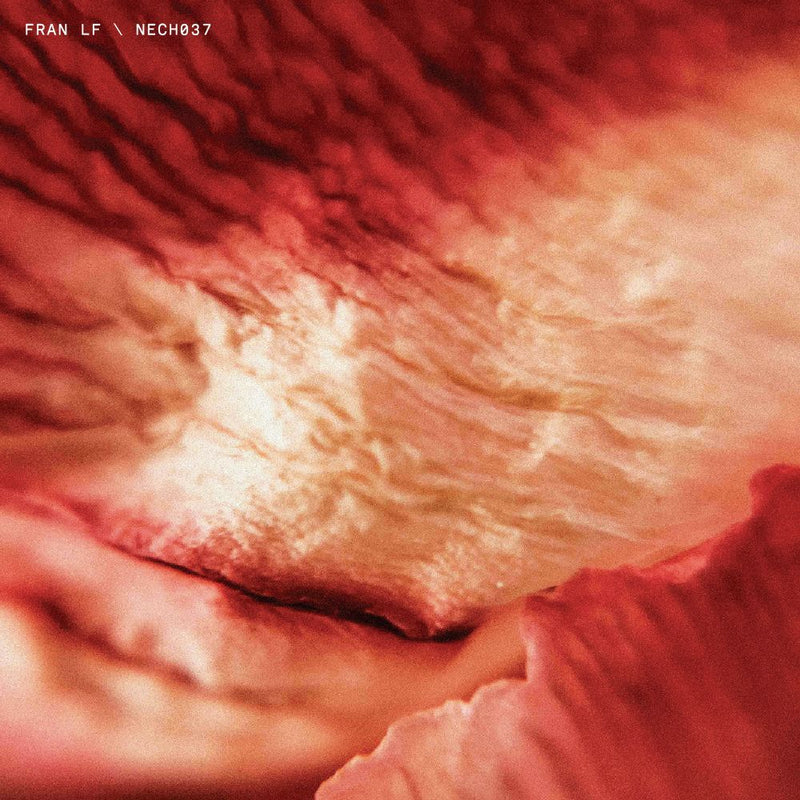 NECH037 EP