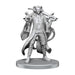 WizKids Critical Role Unpainted Miniatures | Tabletop RPG Figures | Wave 26 (Mollymauk Tealeaf & Caduceus Clay