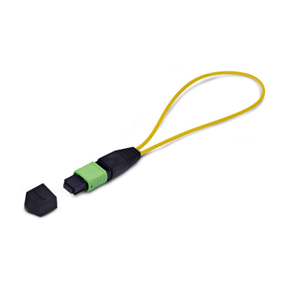 Single Mode Mpo-12 Female Loopback Plug