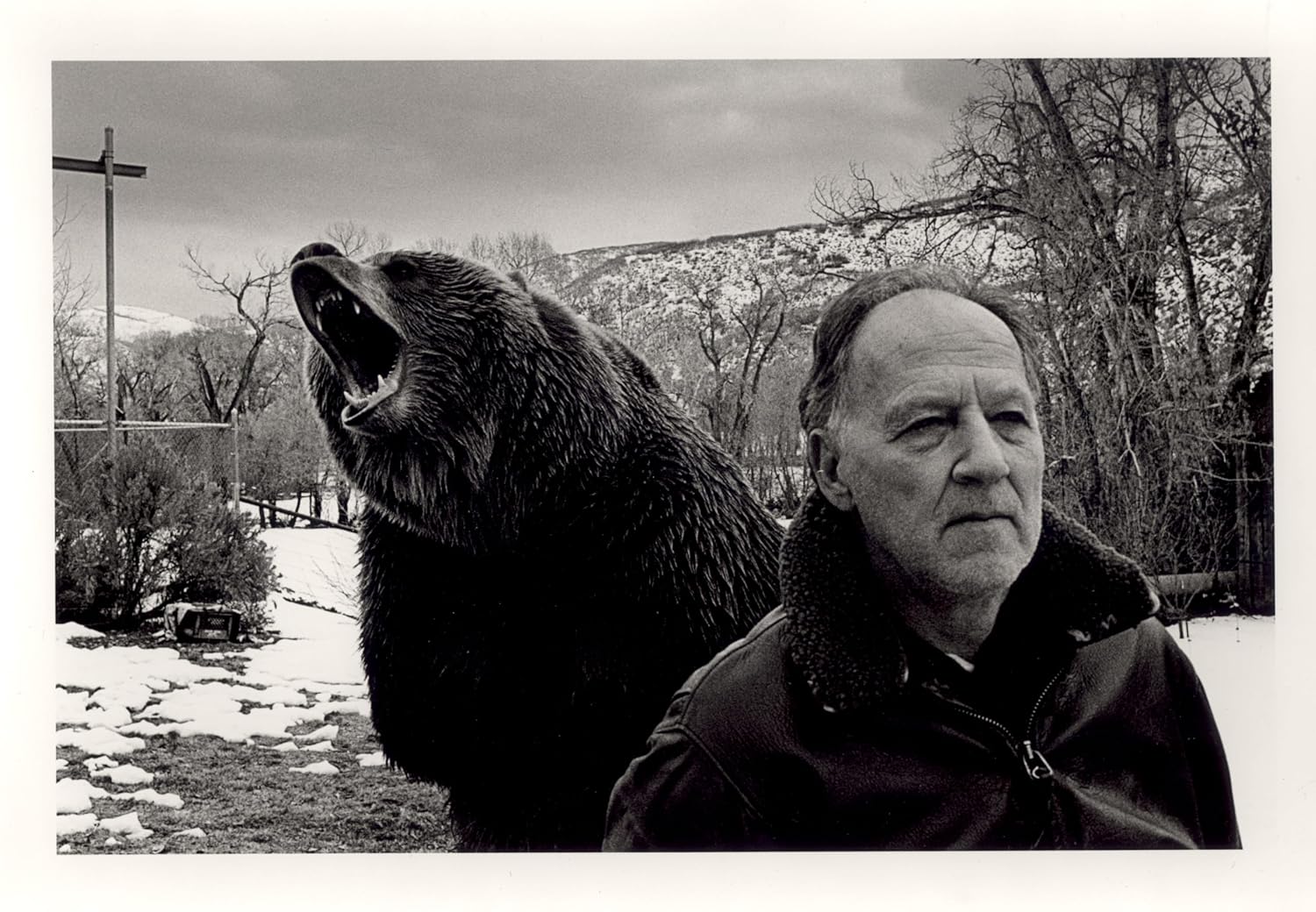 GRIZZLY MAN