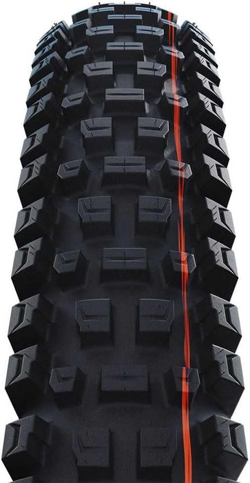 Schwalbe Albert Gravity Pro, TLR
