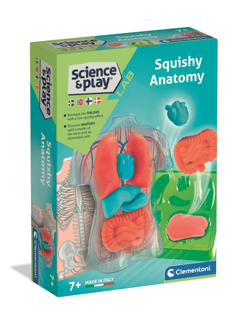 ANATOMIE SQUISHY (NORDIC
