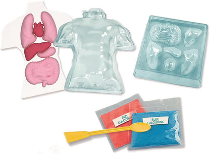 ANATOMIE SQUISHY (NORDIC