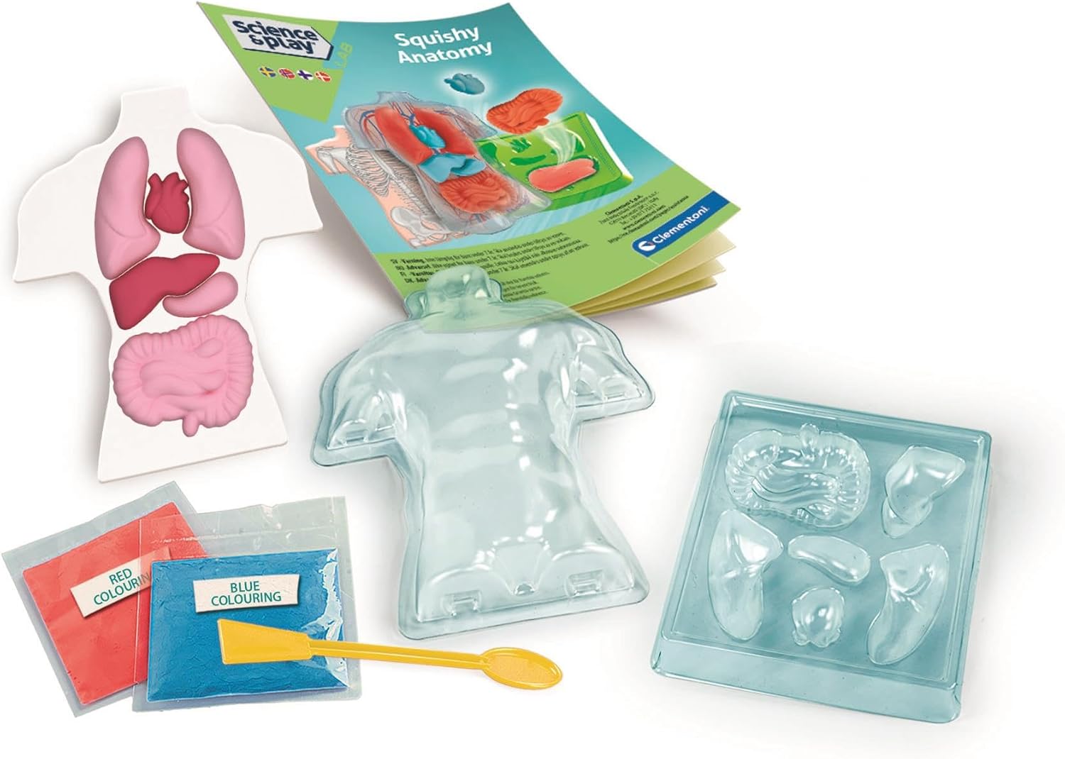 ANATOMIE SQUISHY (NORDIC