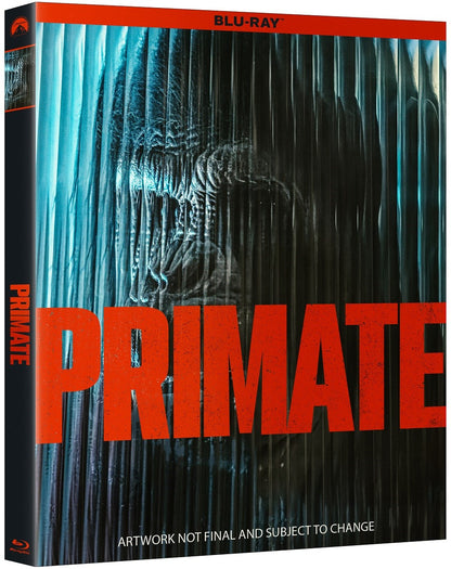 Primate