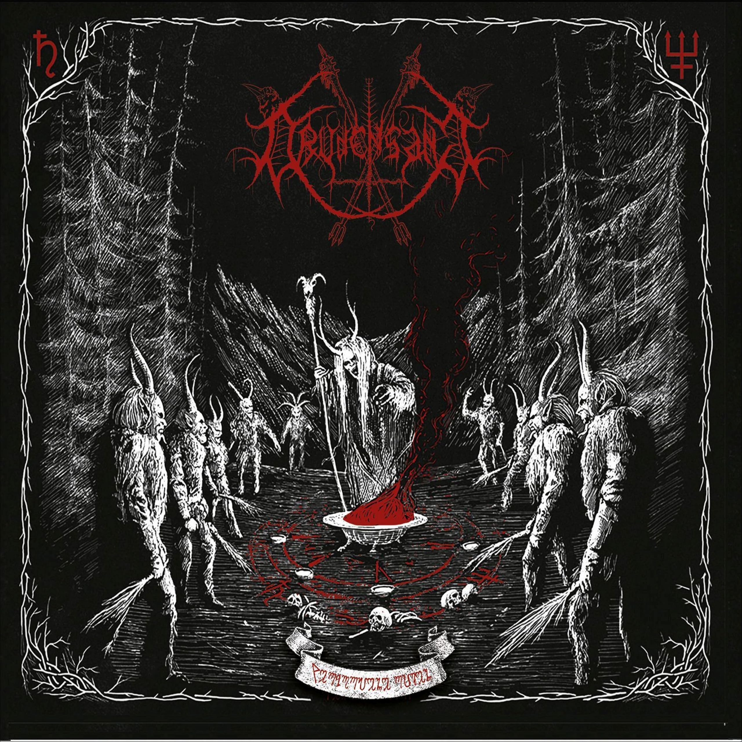 DRUDENSANG - VERBORGENE RITEN