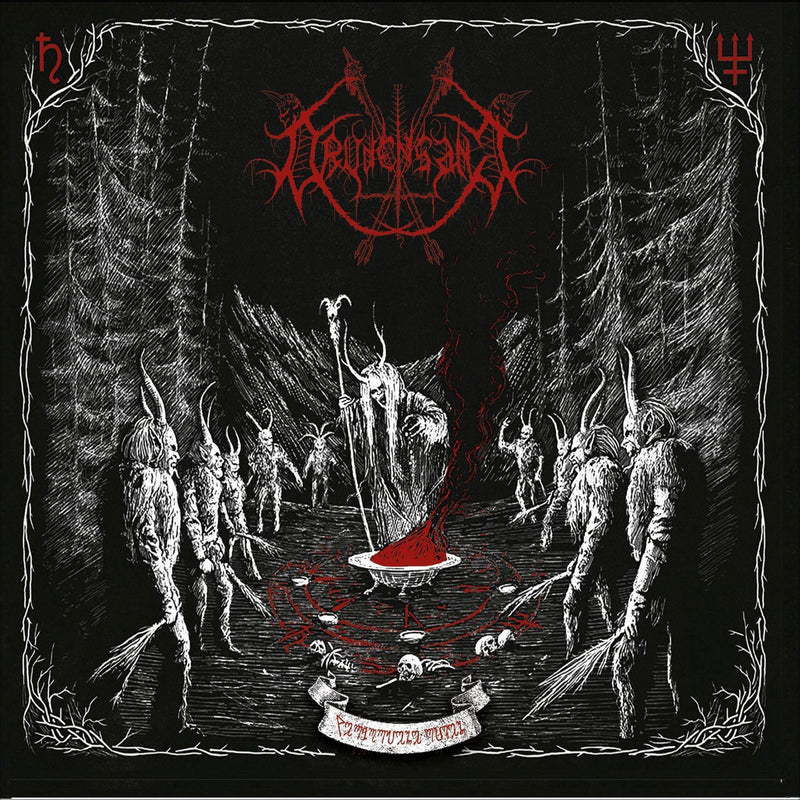 DRUDENSANG - VERBORGENE RITEN