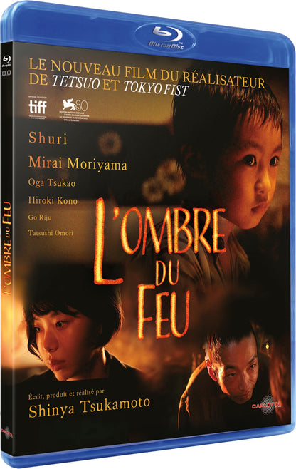 OMBRE DU FEU (L'